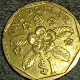 One Piece Coin | eBay